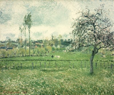 Prato a Eragny, 1885 da Camille Jacob Pissarro